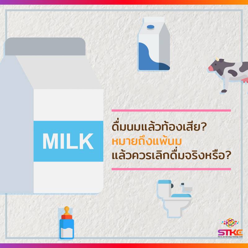 ดื่มนมแล้วท้องเสีย หมายถึงแพ้นม แล้วควรเลิกดื่มนมจริงหรือ