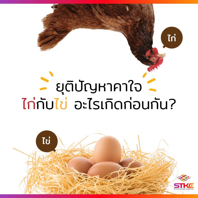 ยุติปัญหาคาใจ ไก่กับไข่ไก่ อะไรเกิดก่อนกัน?