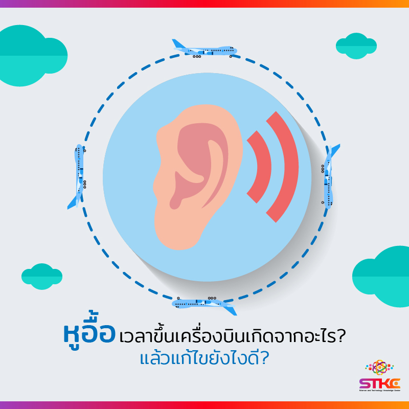 หูอื้อเวลาขึ้นเครื่องบินเกิดจากอะไร? แล้วแก้ไขยังไงดี?