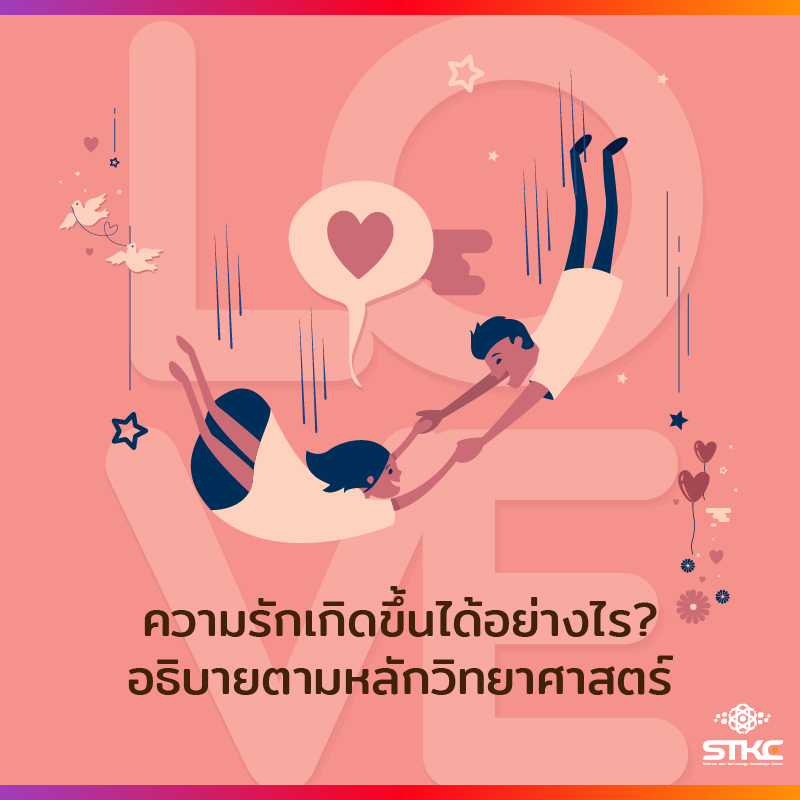 [วันสำคัญ] วันวาเลนไทน์ - ความรักเกิดขึ้นได้อย่างไร? อธิบายตามหลักวิทยาศาสตร์