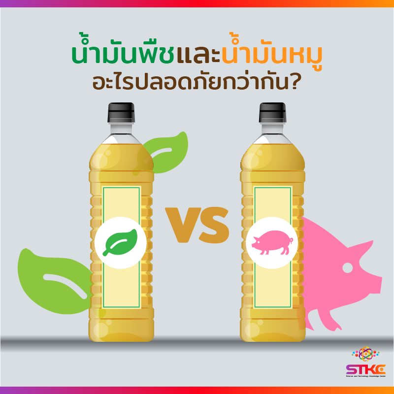 น้ำมันพืชและน้ำมันหมู อะไรปลอดภัยกว่ากัน?