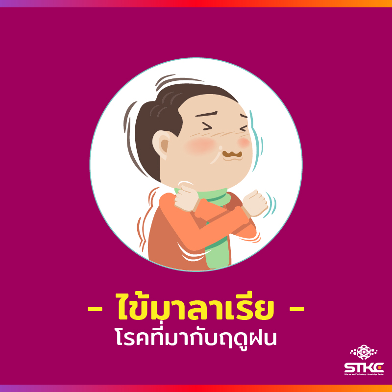 [โรคที่มากับฤดูฝน] ไข้มาลาเรีย