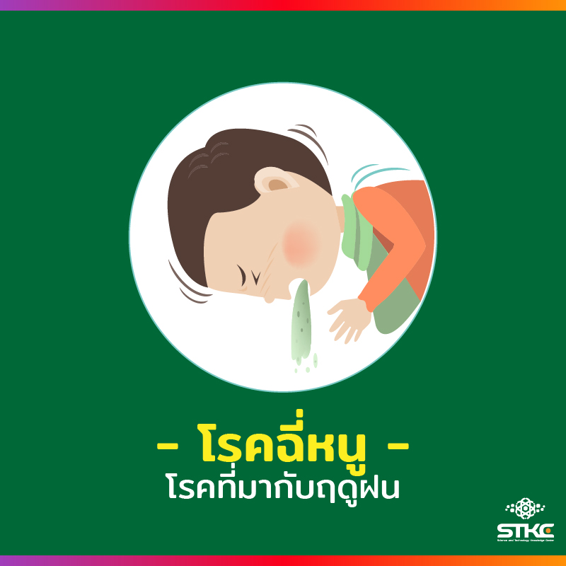 [โรคที่มากับหน้าฝน] โรคฉี่หนู