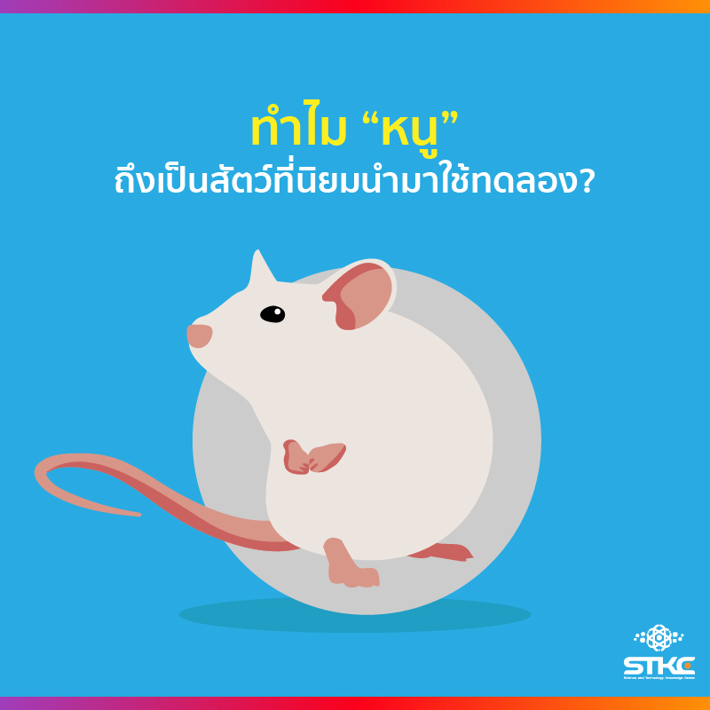 ทำไมนักวิทยาศาสตร์ถึงนิยมใช้ 