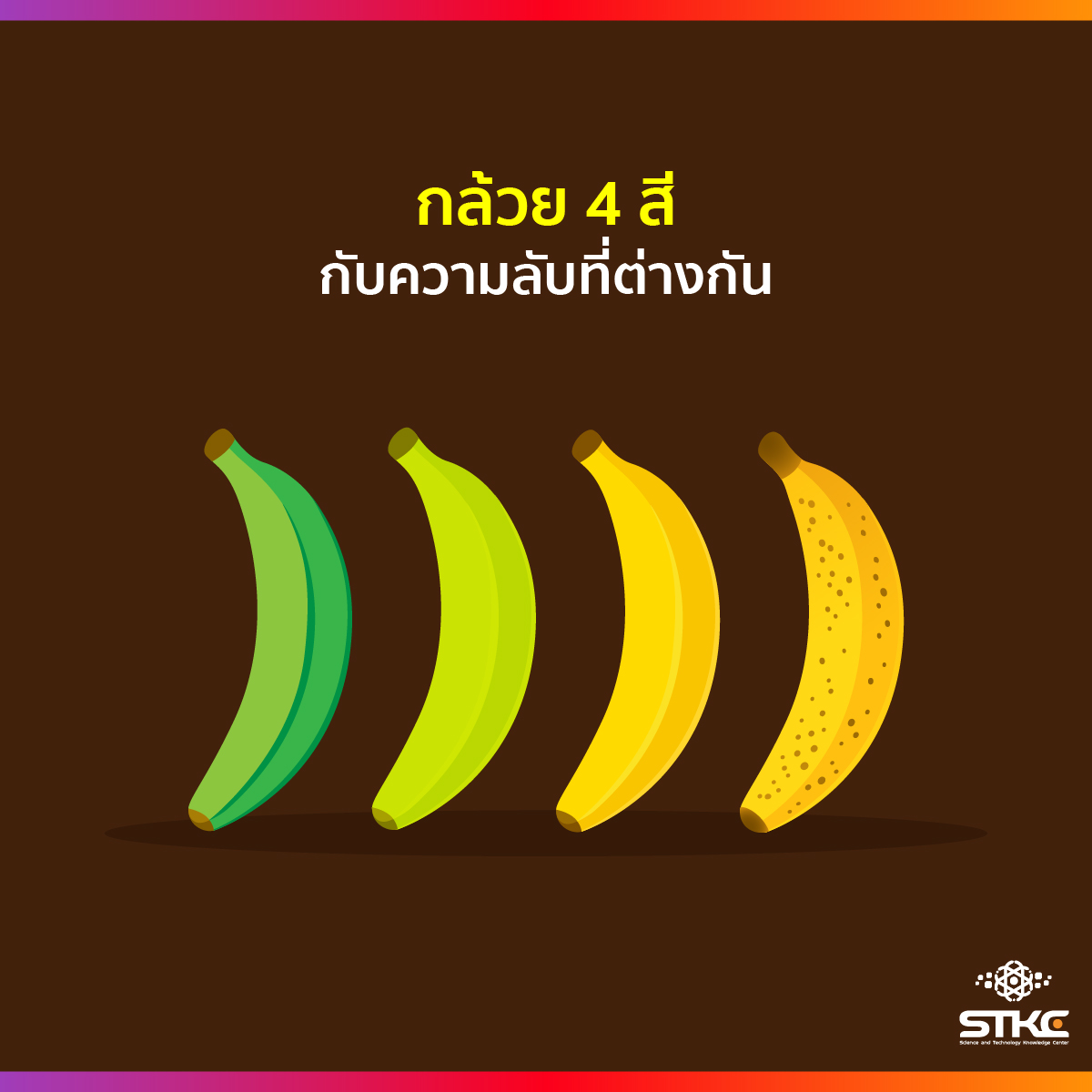 กล้วย 4 สีกับความลับที่ต่างกัน