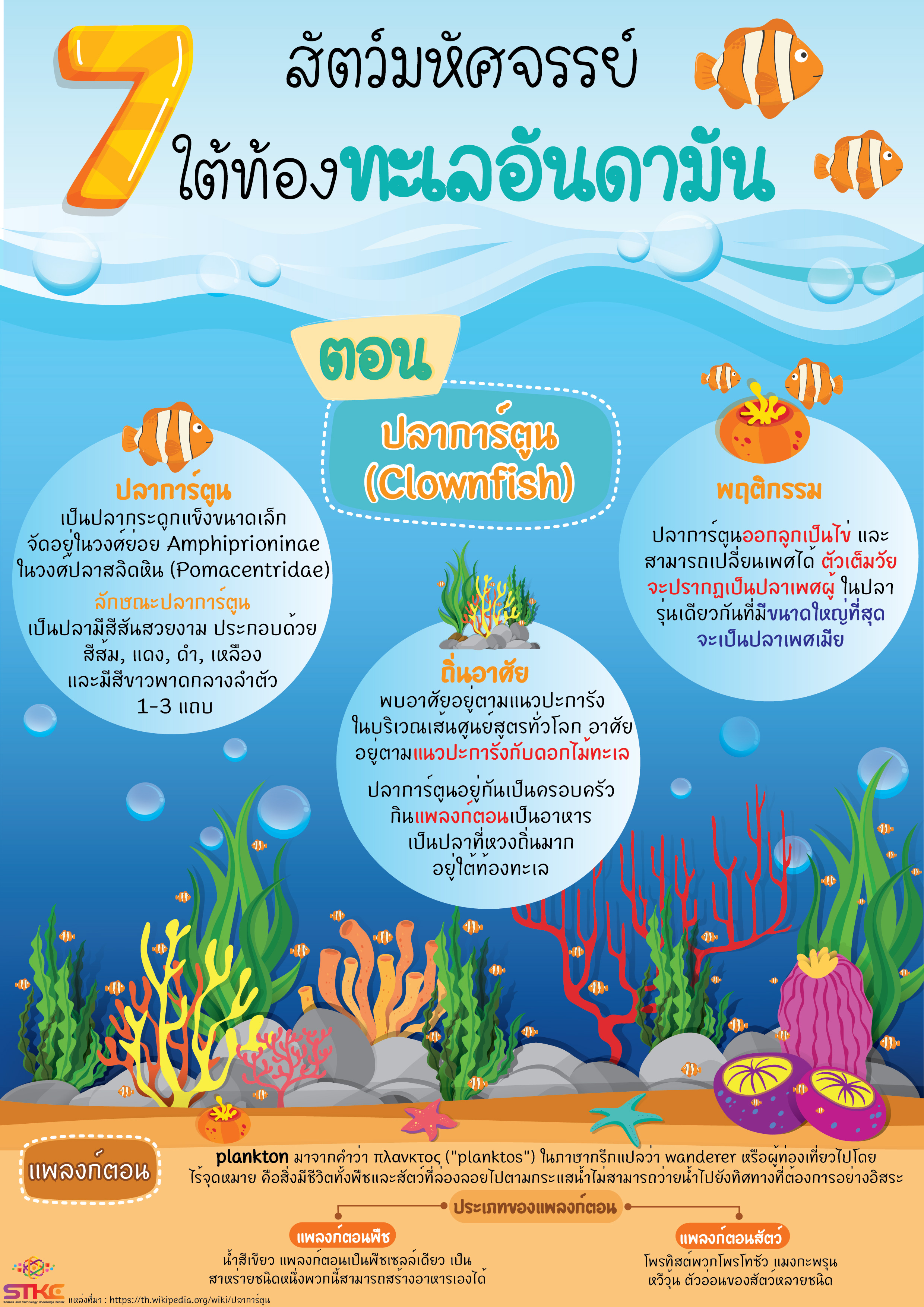 7 สัตว์มหัศจรรย์  ใต้ท้องทะเลอันดามัน ตอน ปลาการ์ตูน  (Clownfish)