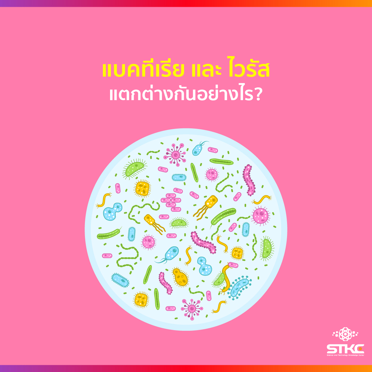แบคทีเรียและไวรัสแตกต่างกันอย่างไร