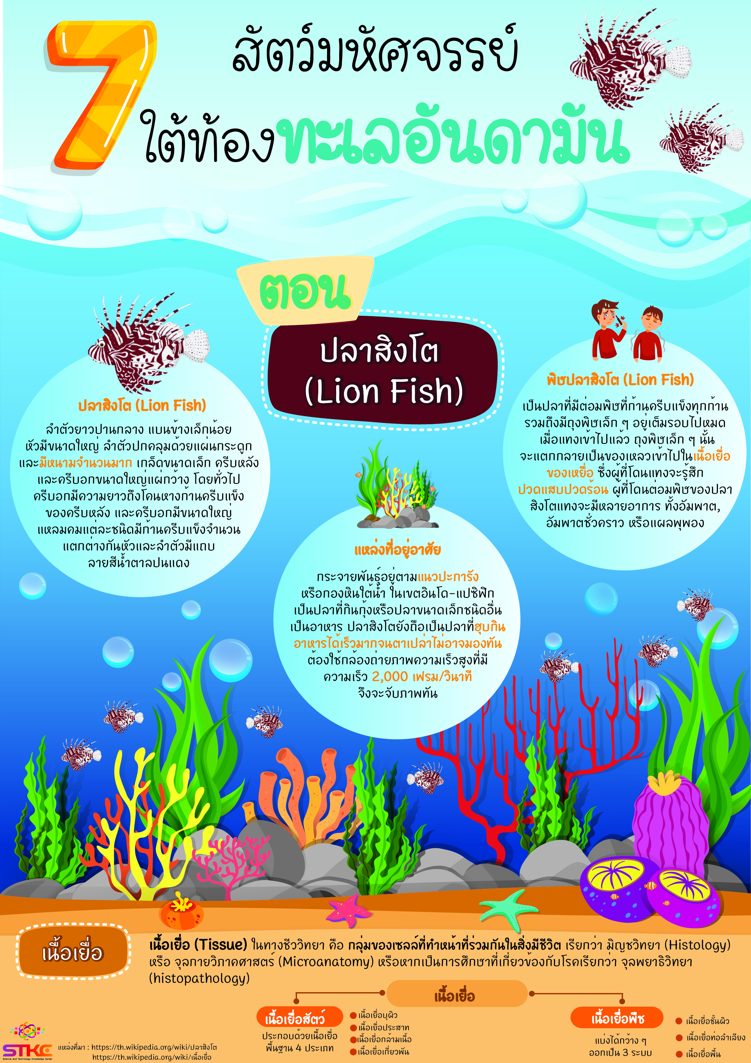 7 สัตว์มหัศจรรย์ ใต้ท้องทะเลอันดามัน ตอน ปลาสิงโต (Lion Fish)