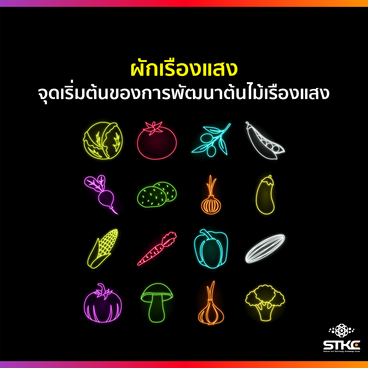 ผักเรืองแสง นวัตกรรมแสงสว่าง