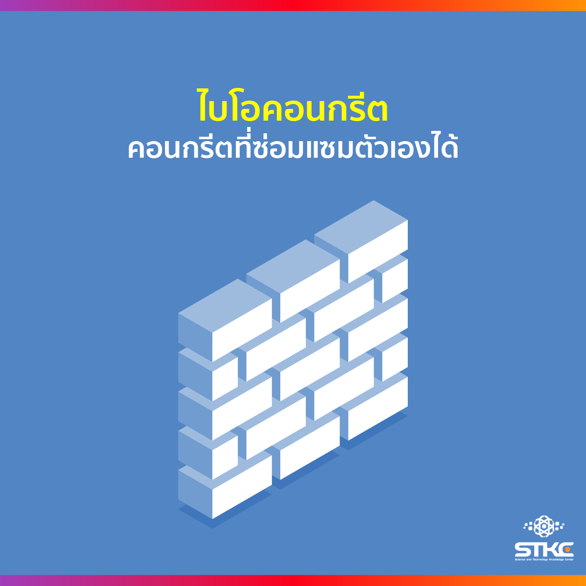 ไบโอคอนกรีต คอนกรีตที่ซ่อมแซมตัวเองได้