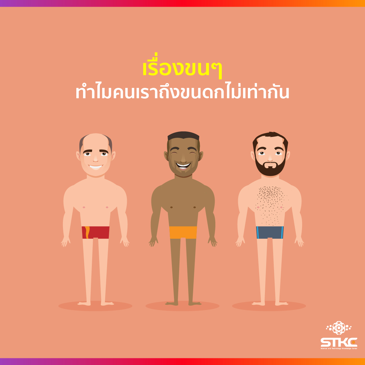 เรื่องขนๆ ทำไมคนเรามีขนดกไม่เท่ากัน