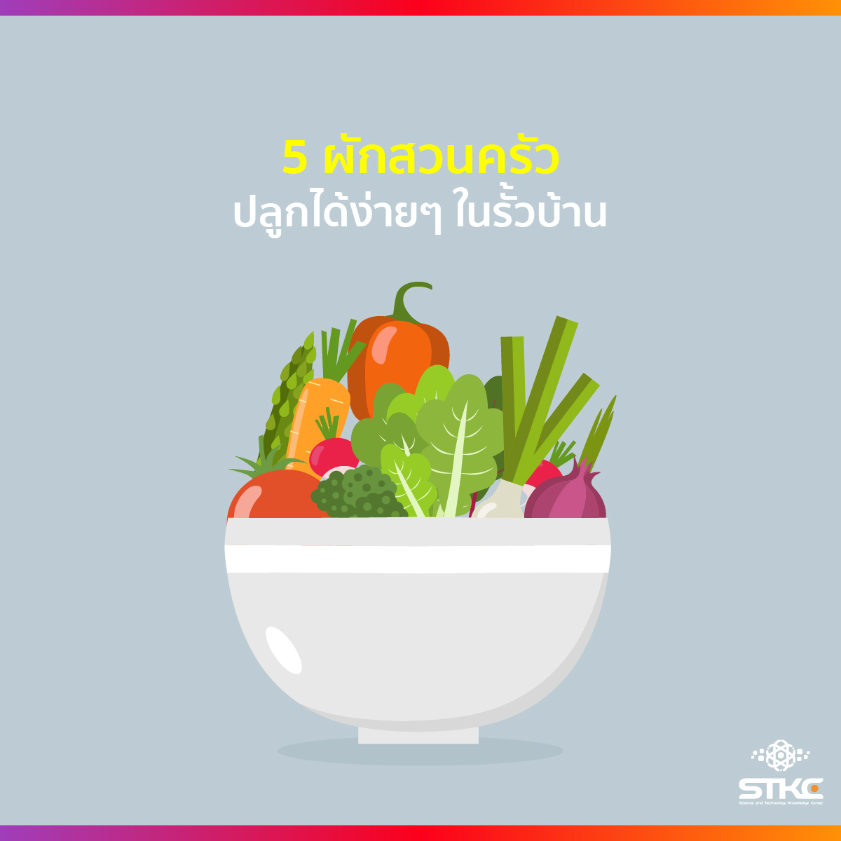 5 ผักสวนครัวปลูกง่ายในรั้วบ้าน