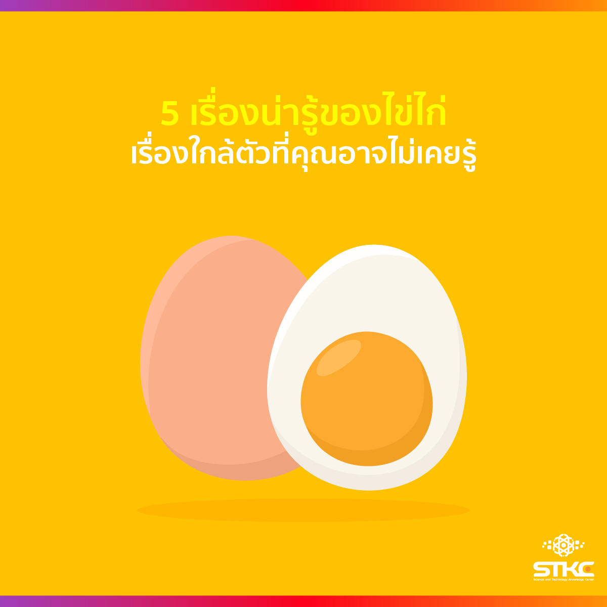 5 เรื่องน่ารู้ของไข่ไก่