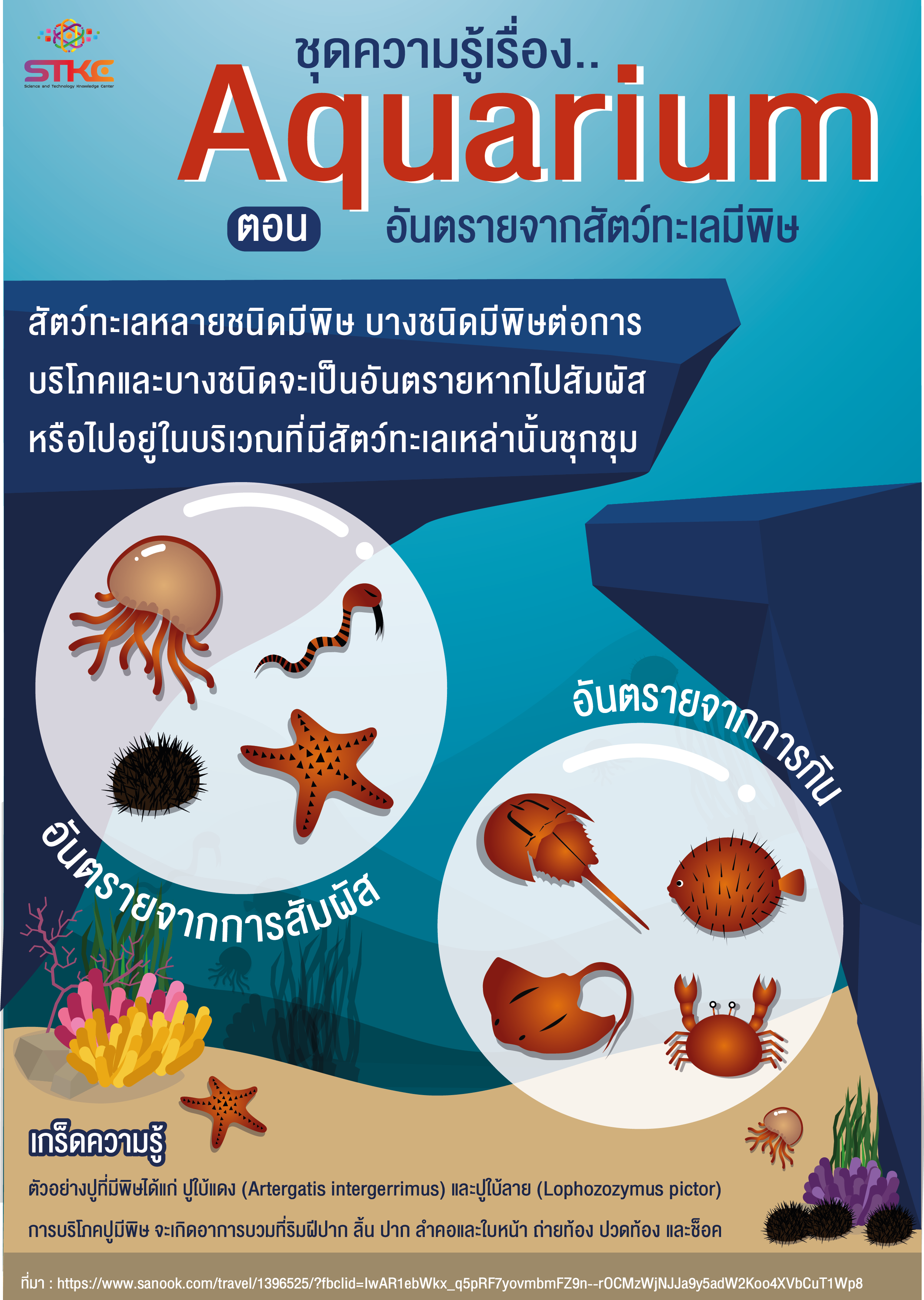 อันตรายสัตว์ทะเลมีพิษ