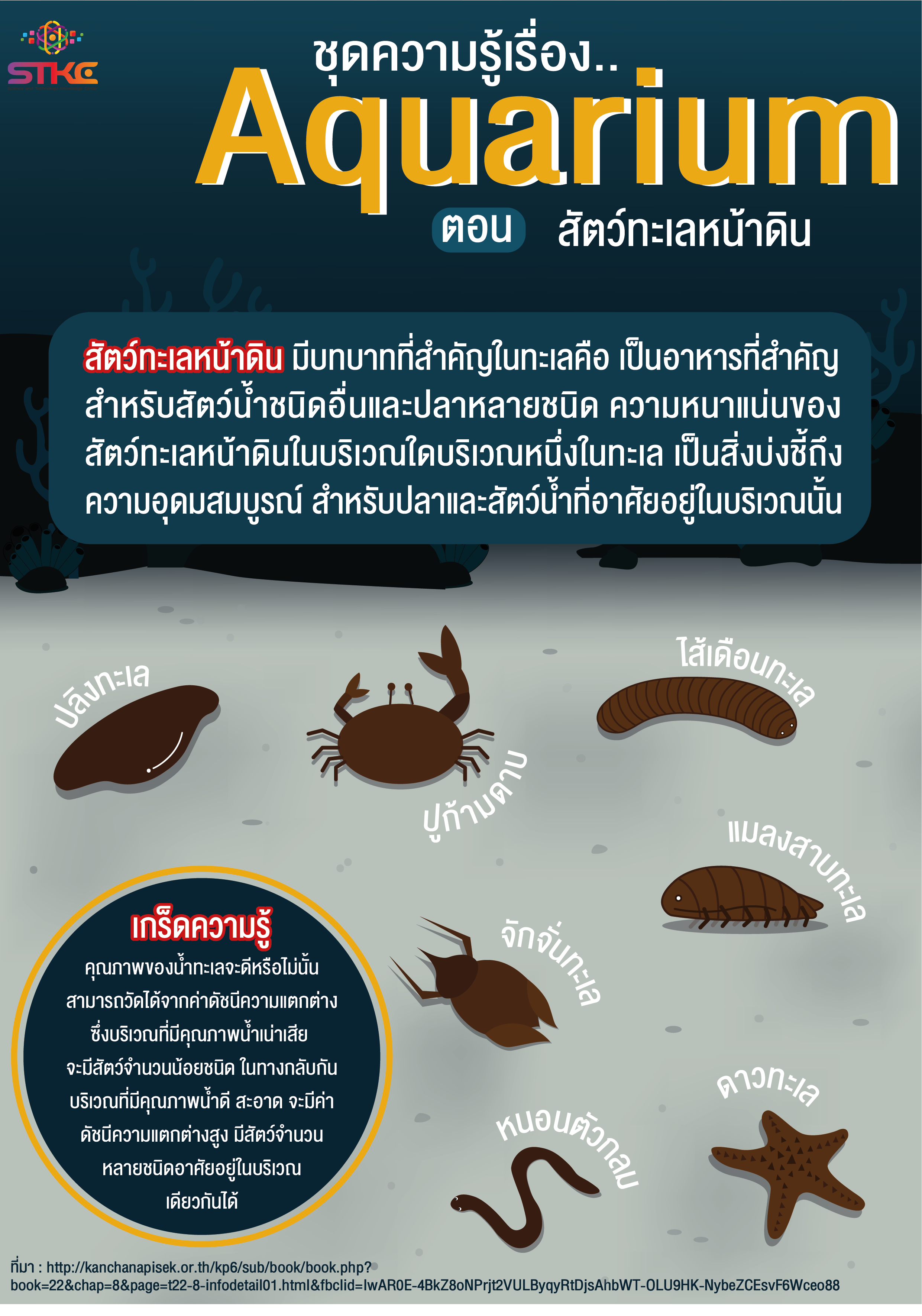 สัตว์ทะเลหน้าดิน