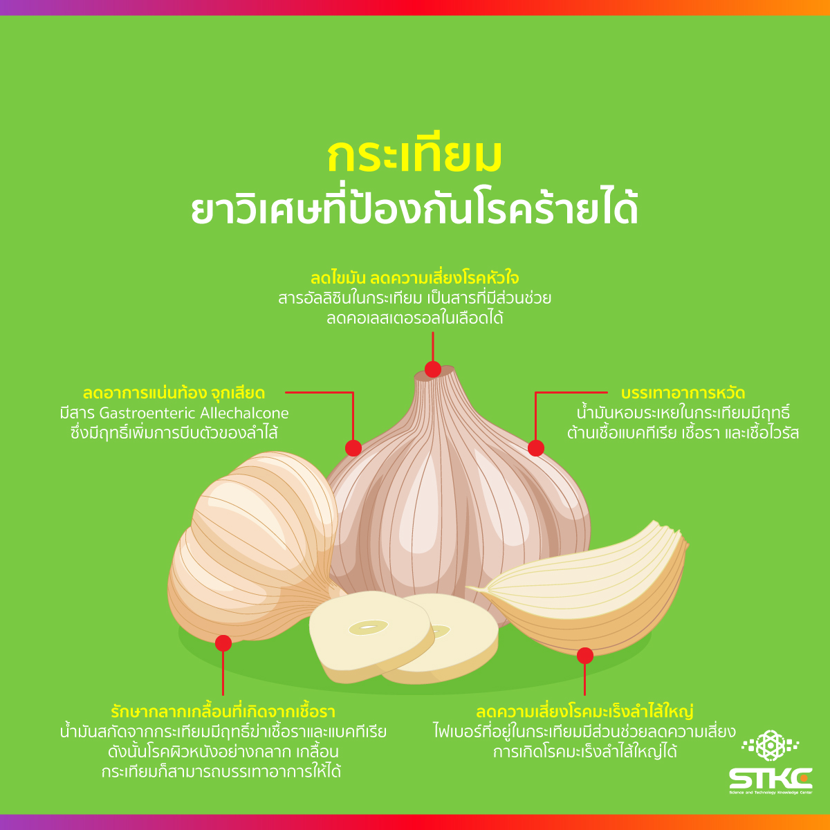 กระเทียม ยาวิเศษที่ป้องกันโรคร้ายได้
