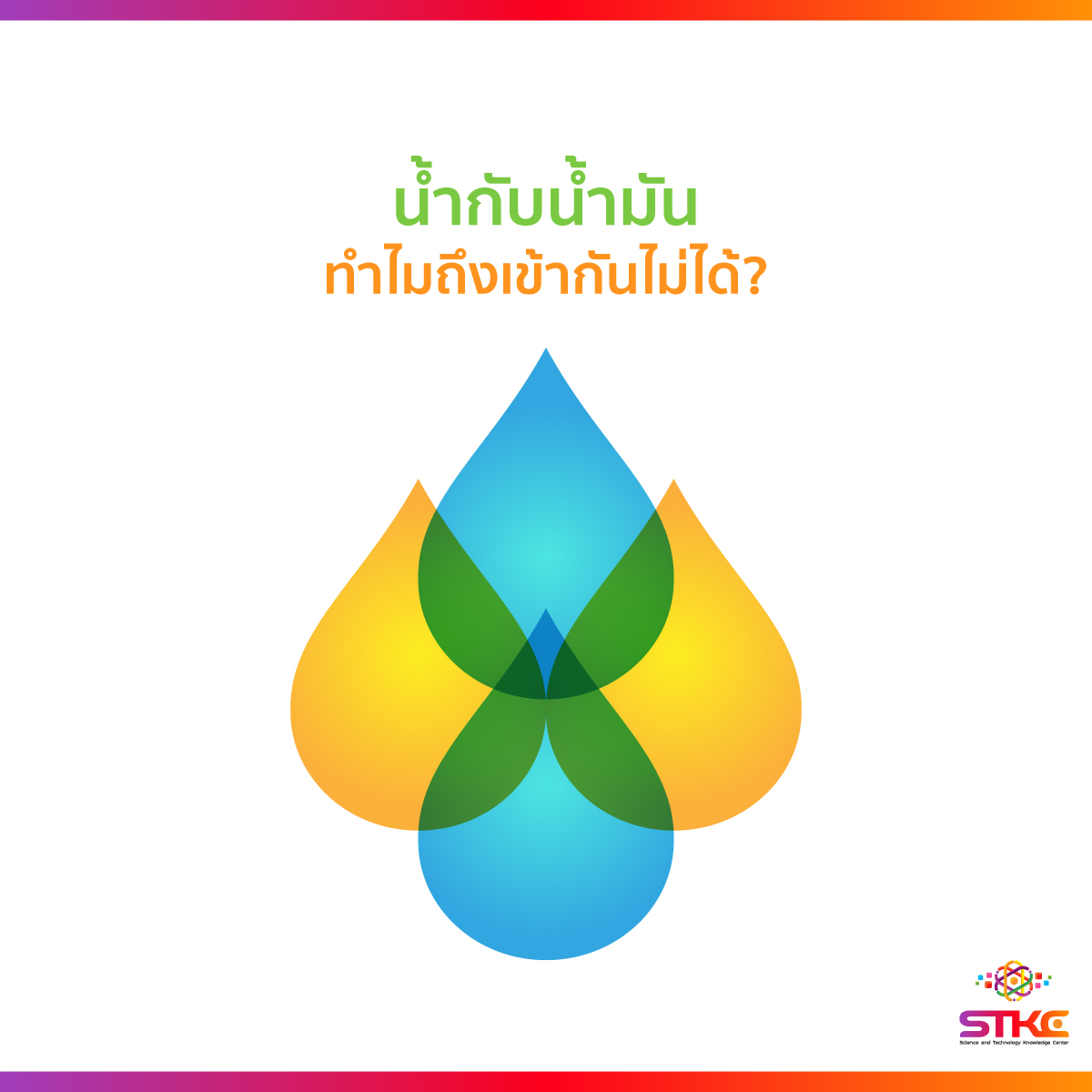 ทำไมน้ำกับน้ำมันจึงเข้ากันไม่ได้