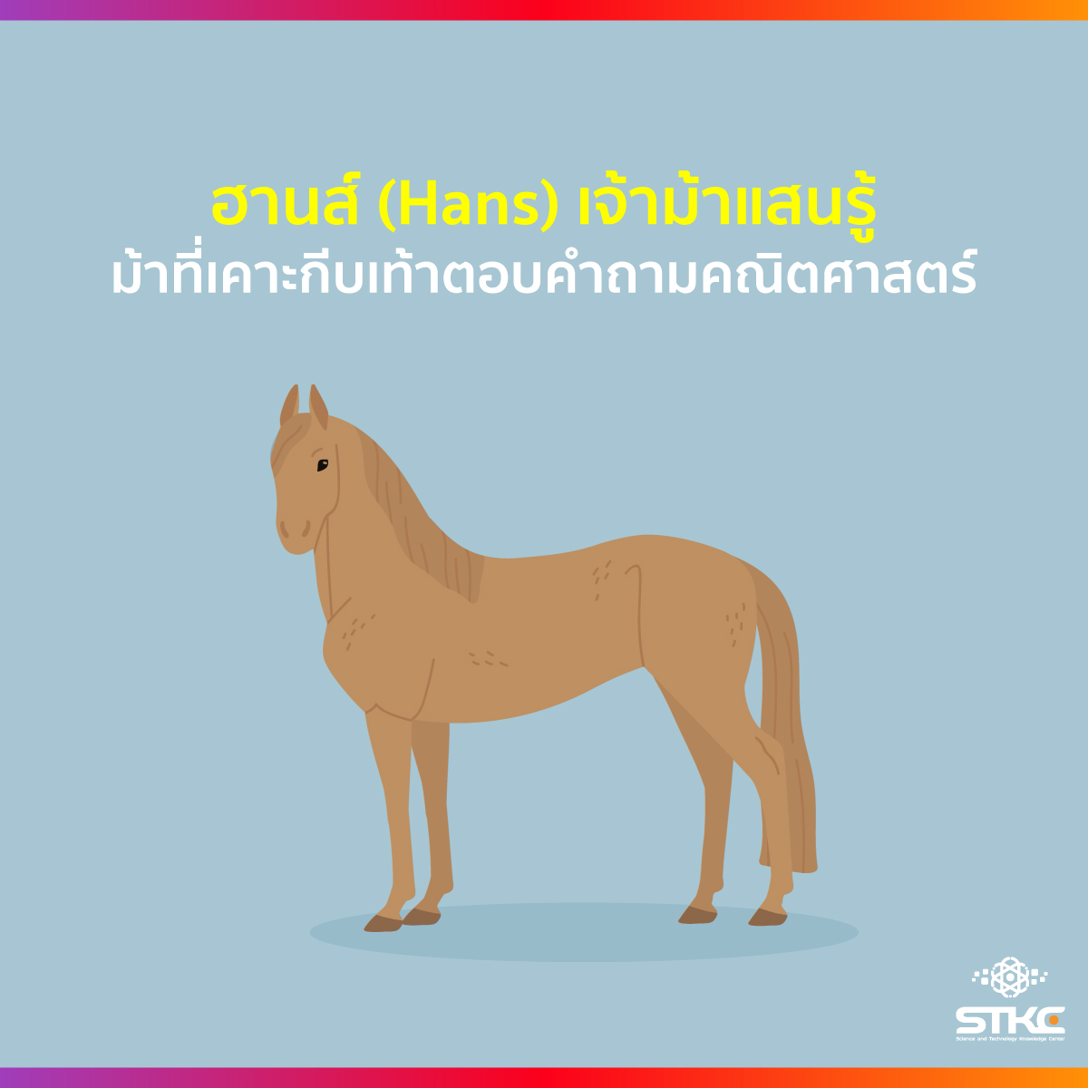 ฮานส์ เจ้าม้าแสนรู้