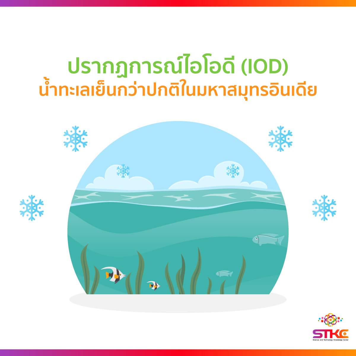 ปรากฏการณ์ IOD น้ำทะเลเย็นกว่าปกติในมหาสมุทรอินเดีย