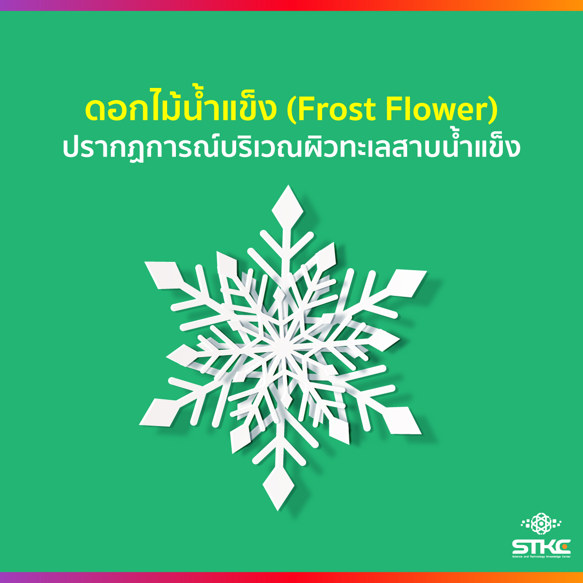 ดอกไม้น้ำแข็ง (Frost Flower) ปรากฏการณ์ธรรมชาติบริเวณผิวทะเลสาปน้ำแข็ง