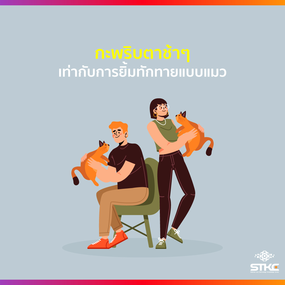 กะพริบตาช้าๆ เท่ากับการยิ้มทักทายแบบแมว