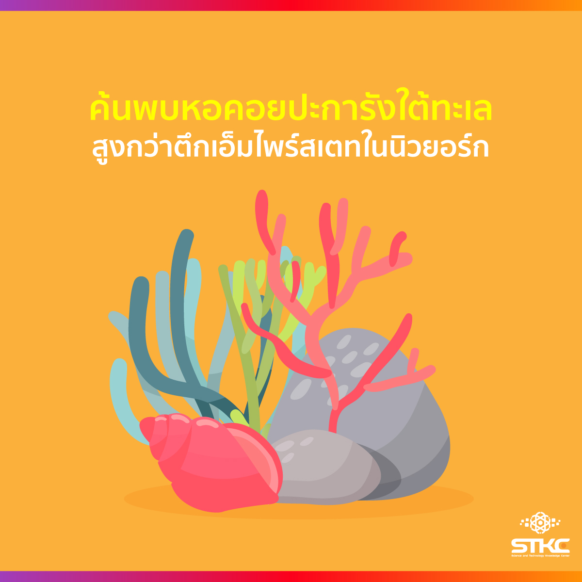 ค้นพบหอคอยปะการังใต้ทะเล สูงยิ่งกว่าตึกเอ็มไพร์สเตทในมหานครนิวยอร์ก