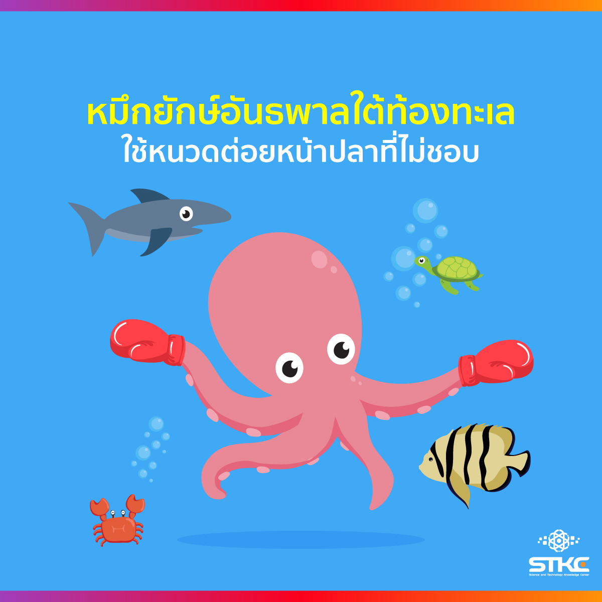 หมึกยักษ์อันธพาลใต้ท้องทะเล ใช้หนวดต่อยหน้าปลาที่ไม่ชอบ