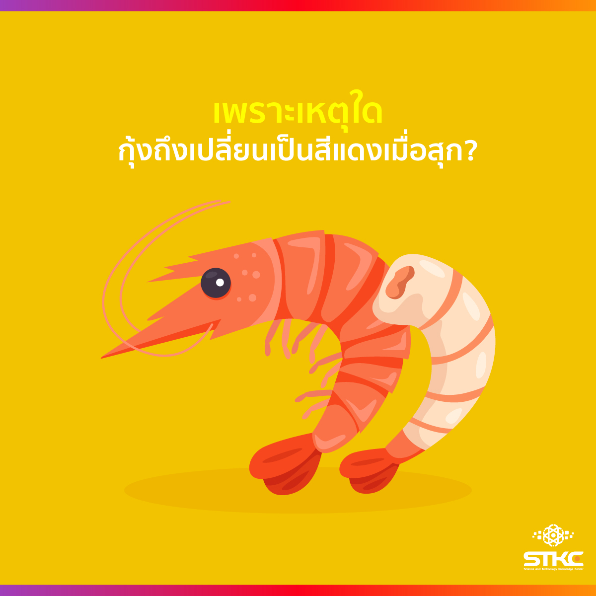 เพราะเหตุใดกุ้งถึงเปลี่ยนเป็นสีแดงเมื่อสุก?