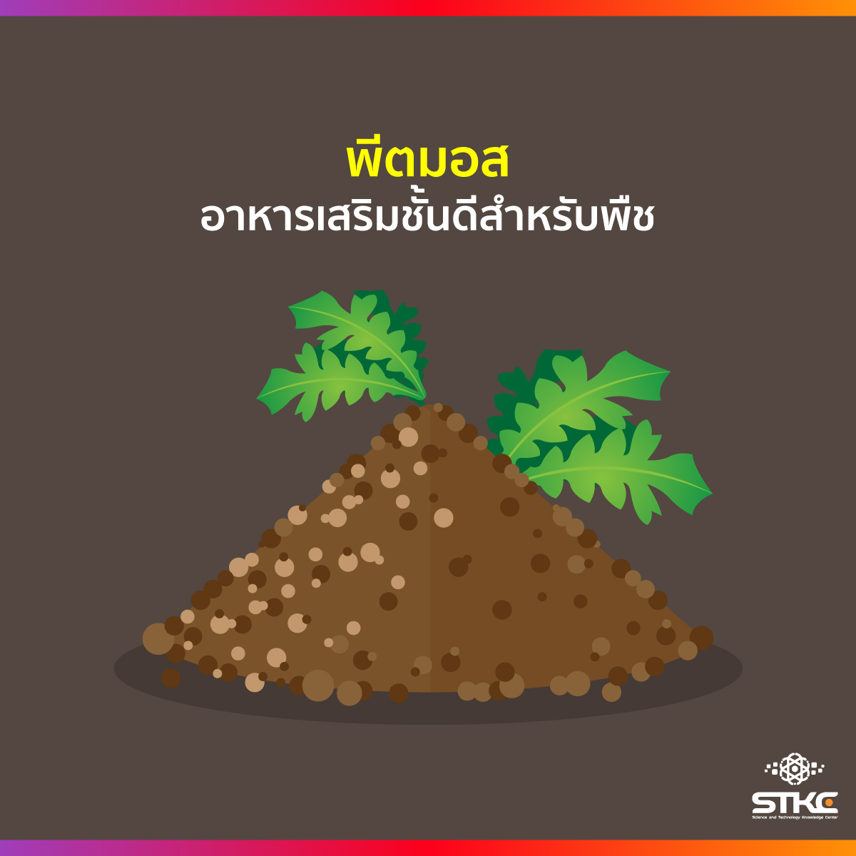 พีตมอส อาหารเสริมชั้นดีสำหรับพืช