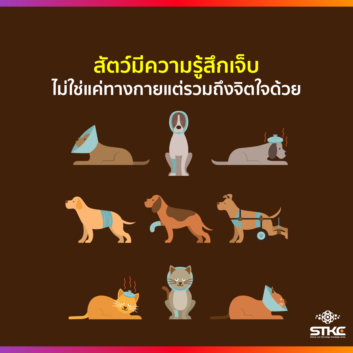 สัตว์มีความรู้สึกเจ็บ ไม่ใช่แค่ทางกายแต่รวมถึงจิตใจด้วย