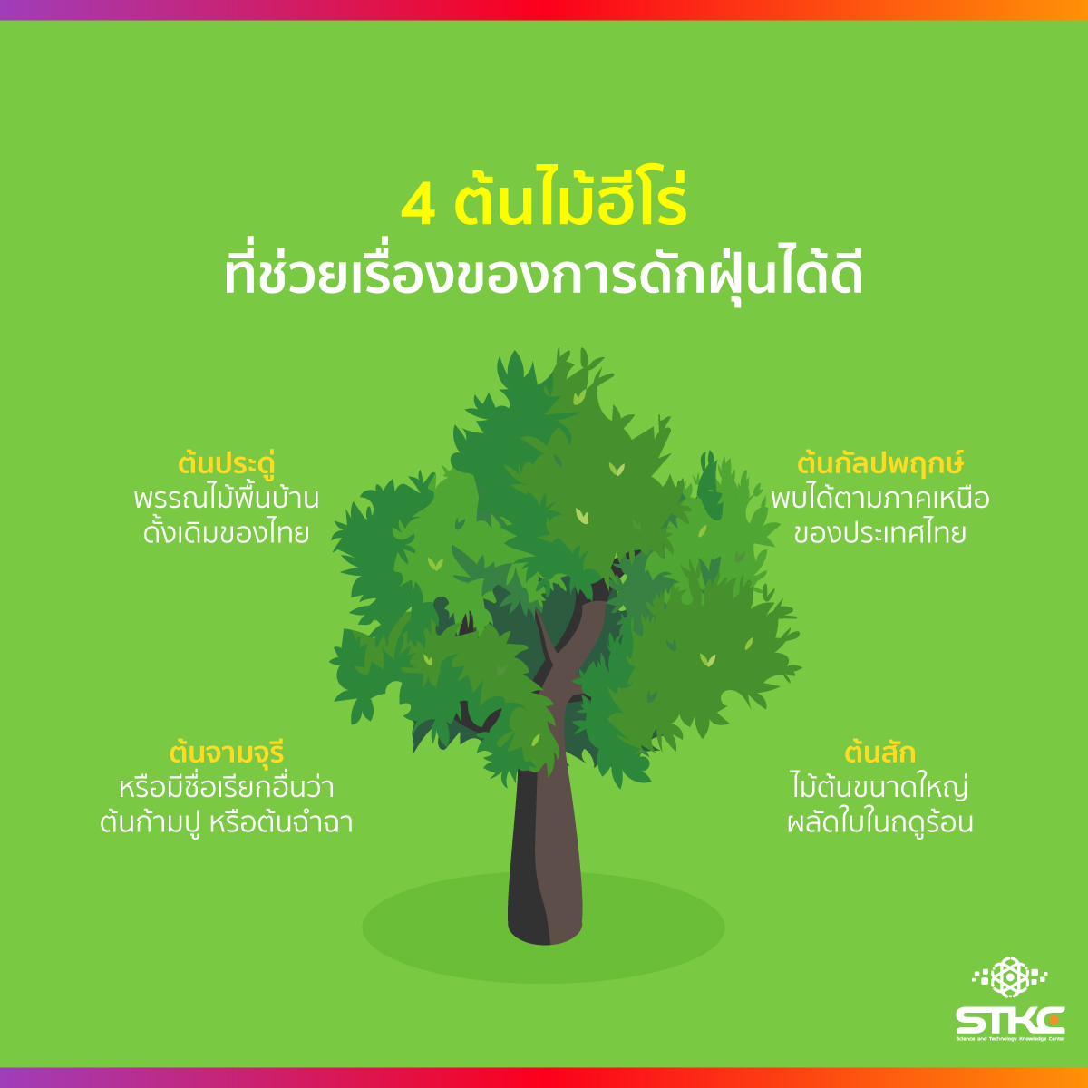 4 ต้นไม้ฮีโร่ที่ช่วยเรื่องของการดักฝุ่นได้ดี