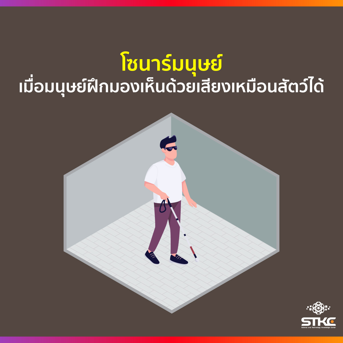 โซนาร์มนุษย์  เมื่อมนุษย์ฝึกมองเห็นด้วยเสียงเหมือนสัตว์ได้