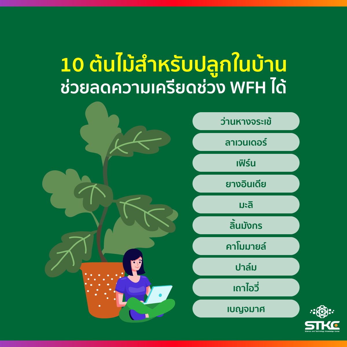 10 ต้นไม้สำหรับปลูกในบ้าน ช่วยลดความเครียดช่วง WFH ได้