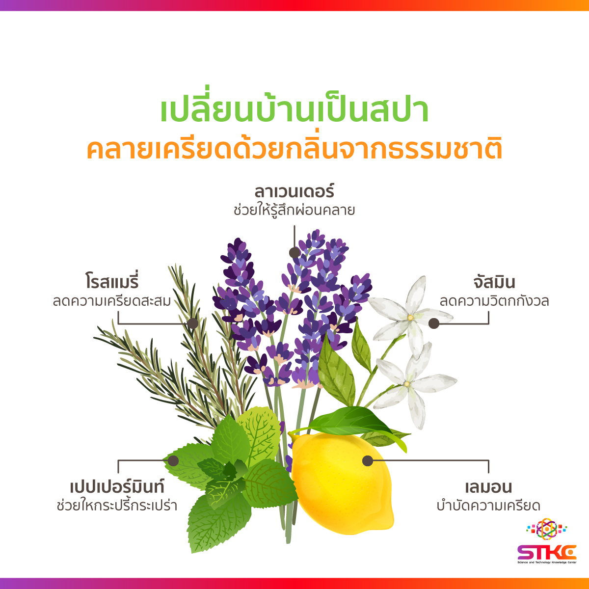 เปลี่ยนบ้านเป็นสปา คลายเครียดด้วยกลิ่นจากธรรมชาติ