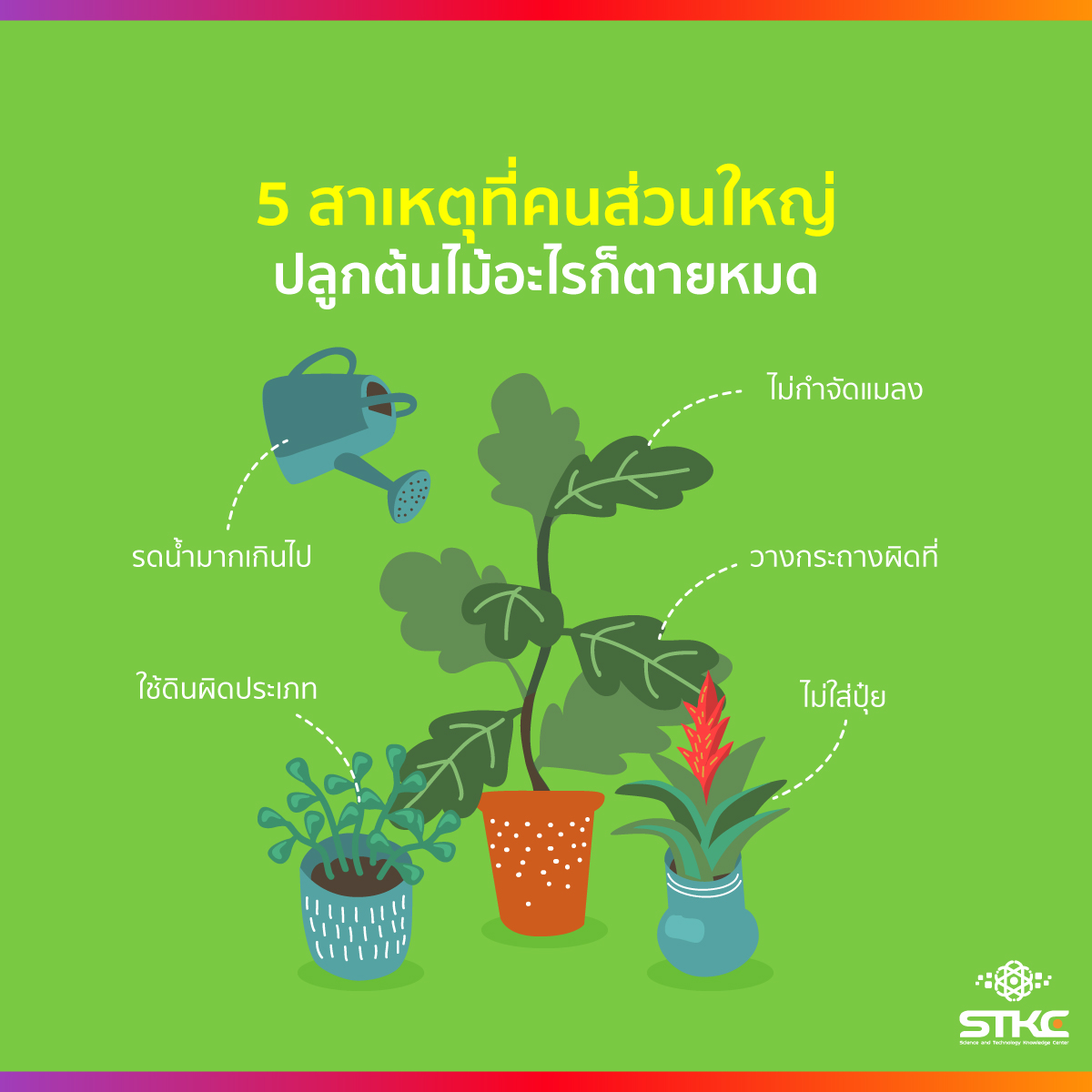 5 สาเหตุที่คนส่วนใหญ่ปลูกต้นไม้อะไรก็ตายหมด