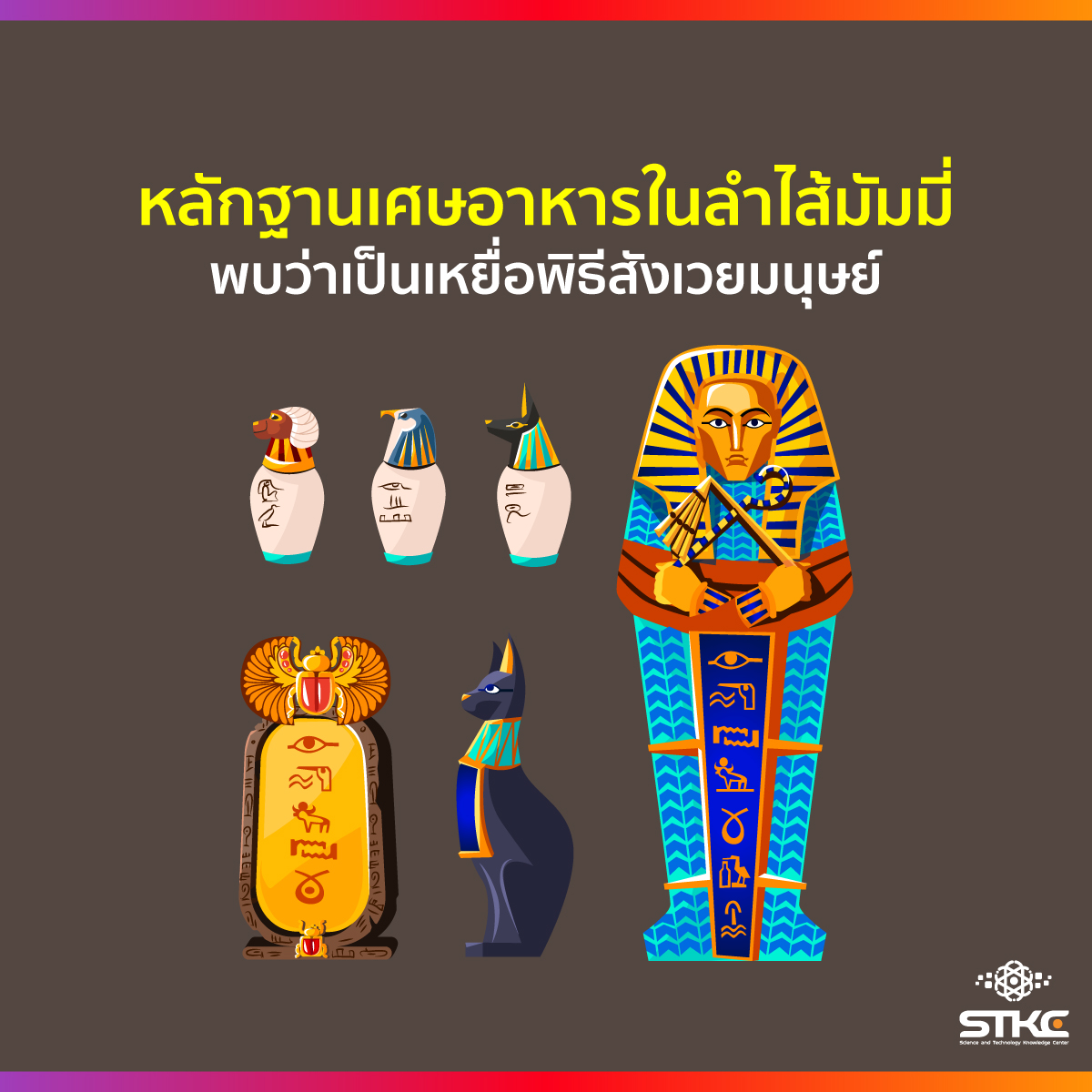 หลักฐานเศษอาหารในลำไส้มัมมี่ พบว่าเป็นเหยื่อพิธีสังเวยมนุษย์