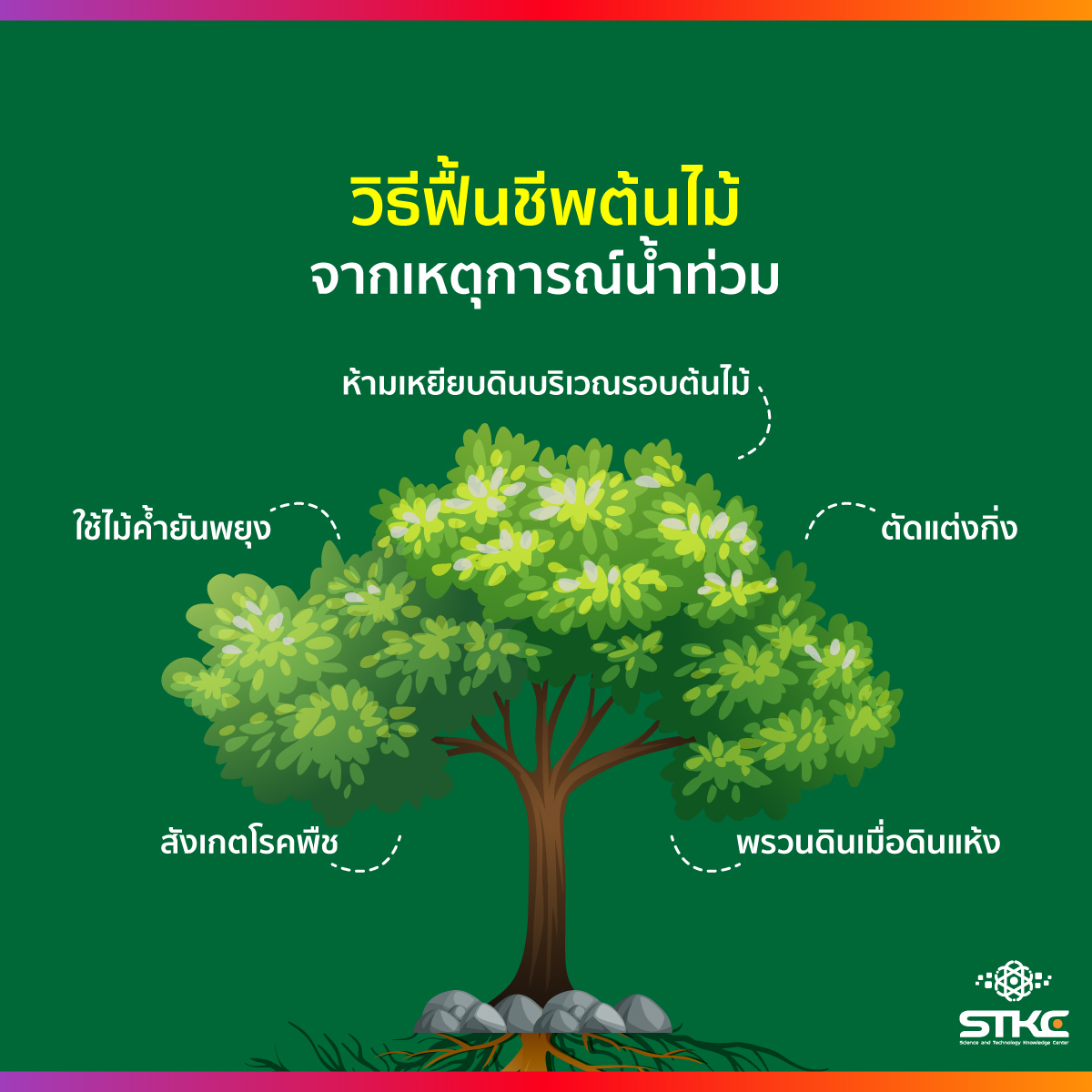 วิธีฟื้นชีพต้นไม้จากเหตุการณ์น้ำท่วม
