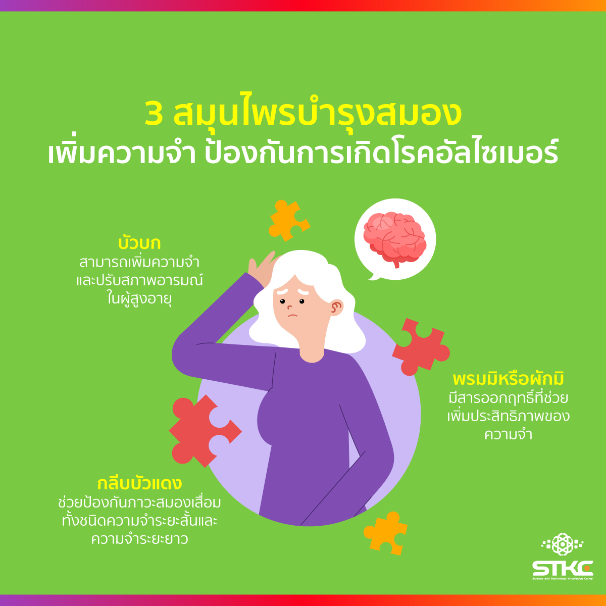 3 สมุนไพรบำรุงสมอง เพิ่มความจำ ป้องกันการเกิดโรคอัลไซเมอร์