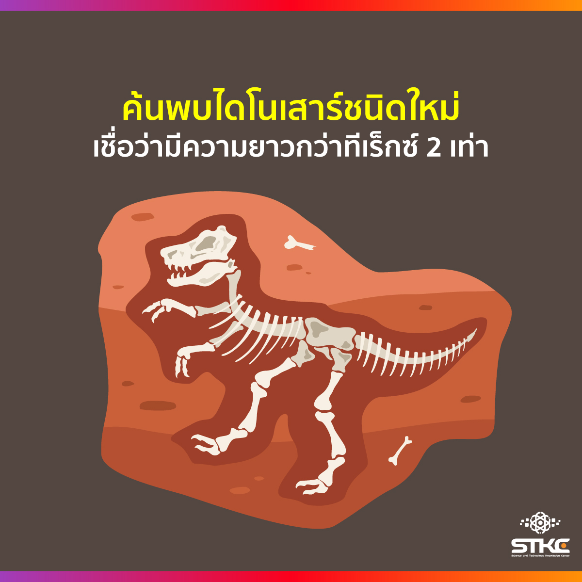 ค้นพบไดโนเสาร์ชนิดใหม่ เชื่อว่ามีความยาวกว่าทีเร็กซ์ 2 เท่า