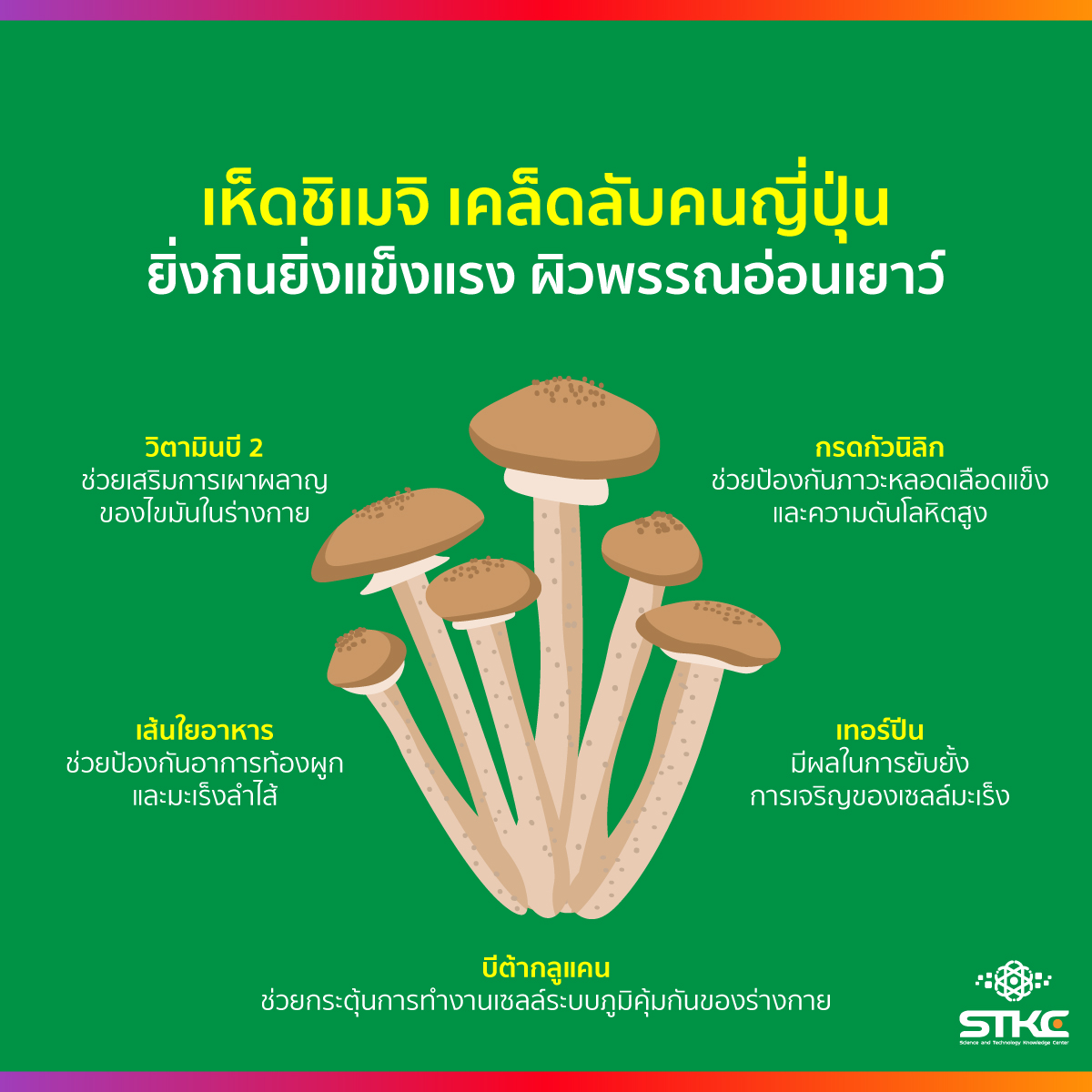เห็ดชิเมจิ เคล็ดลับคนญี่ปุ่น ยิ่งกินยิ่งแข็งแรง ผิวพรรณอ่อนเยาว์