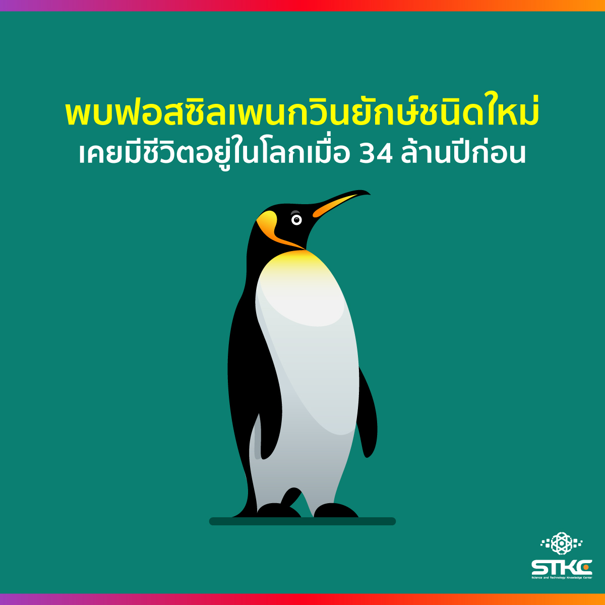 พบฟอสซิลเพนกวินยักษ์ชนิดใหม่ เคยมีชีวิตอยู่ในโลกเมื่อ 34 ล้านปีก่อน