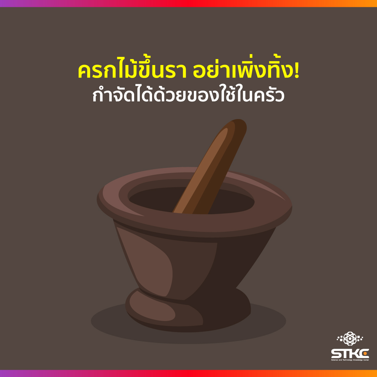 ครกไม้ขึ้นรา อย่าเพิ่งทิ้ง! กำจัดได้ด้วยของใช้ในครัว