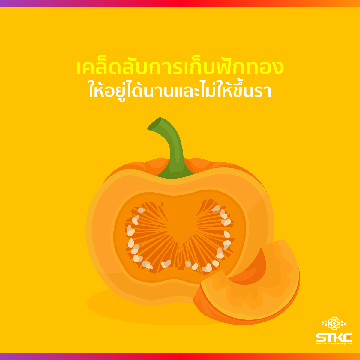 เคล็ดลับการเก็บฟักทองให้อยู่ได้นานและไม่ให้ขึ้นรา