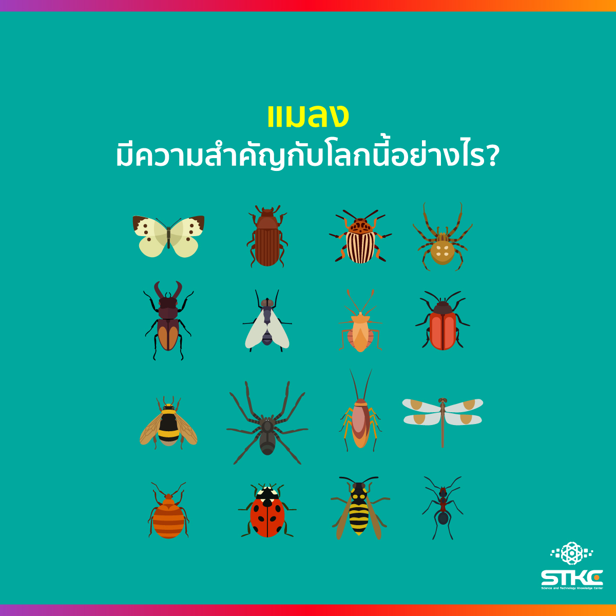 แมลงมีความสำคัญกับโลกนี้อย่างไร?