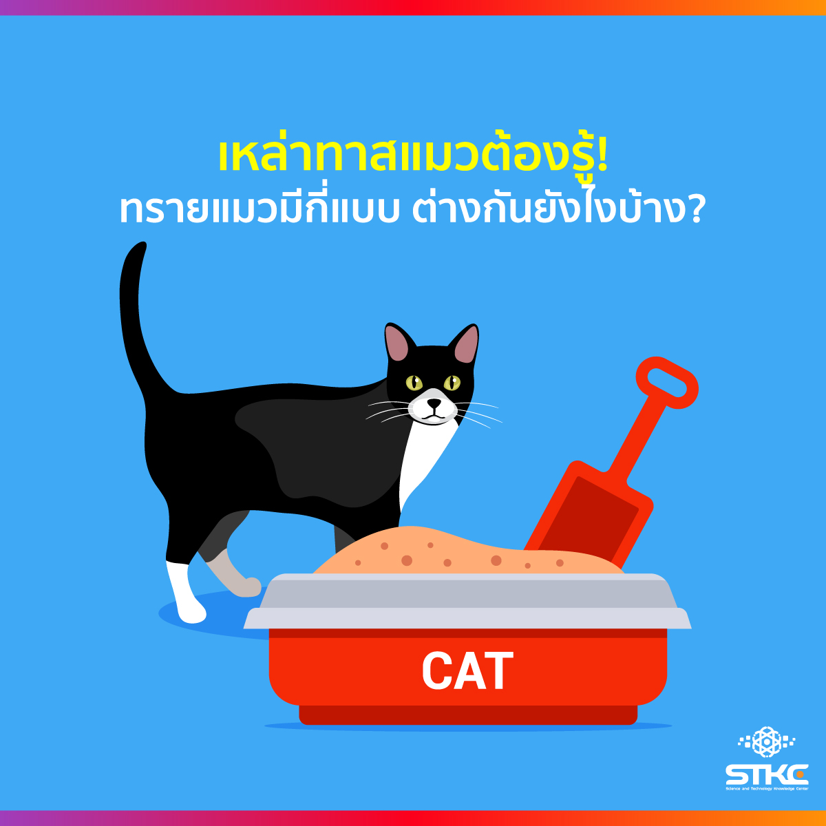 เหล่าทาสแมวต้องรู้! ทรายแมวมีกี่แบบ ต่างกันยังไงบ้าง?