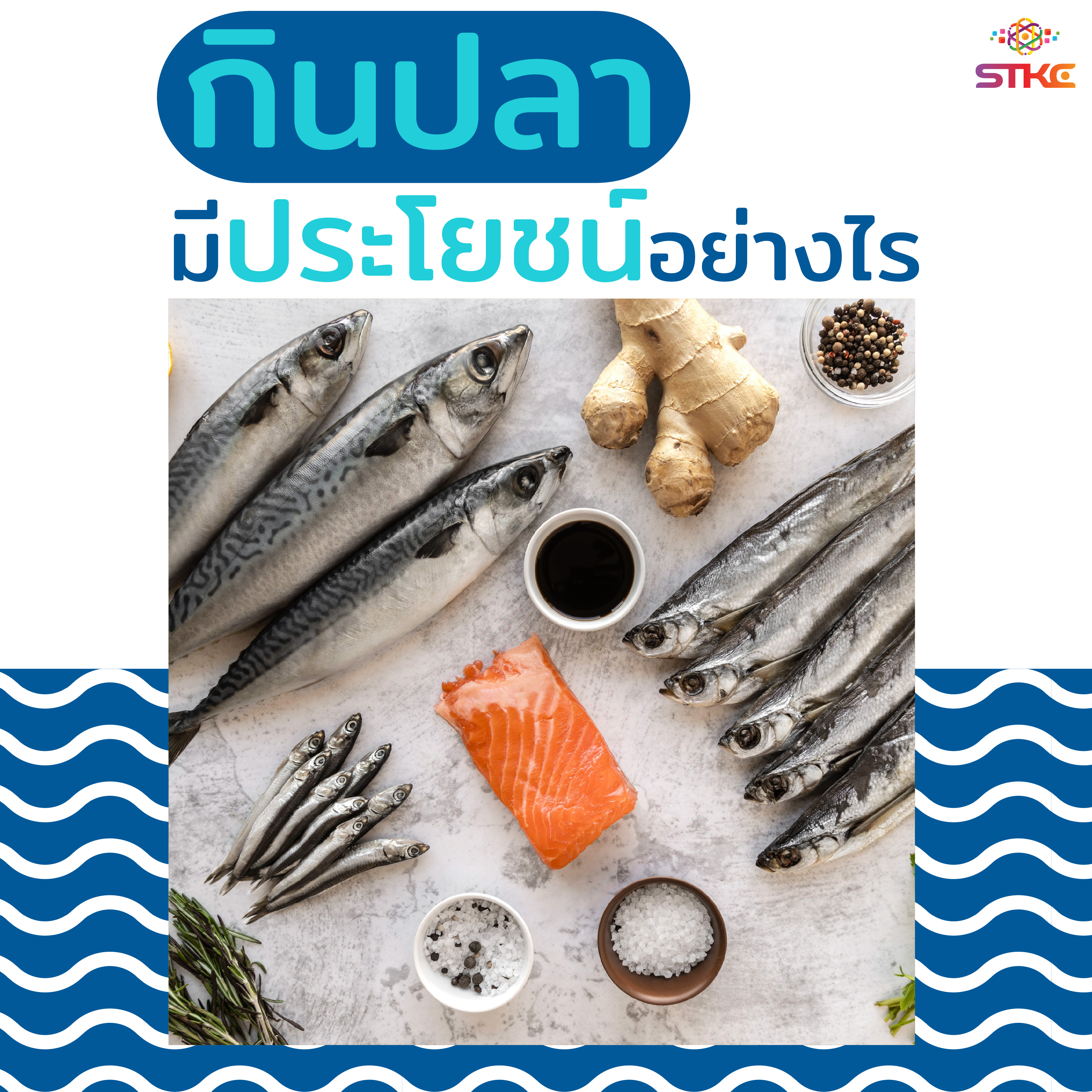 กินปลามีประโยชน์อย่างไร