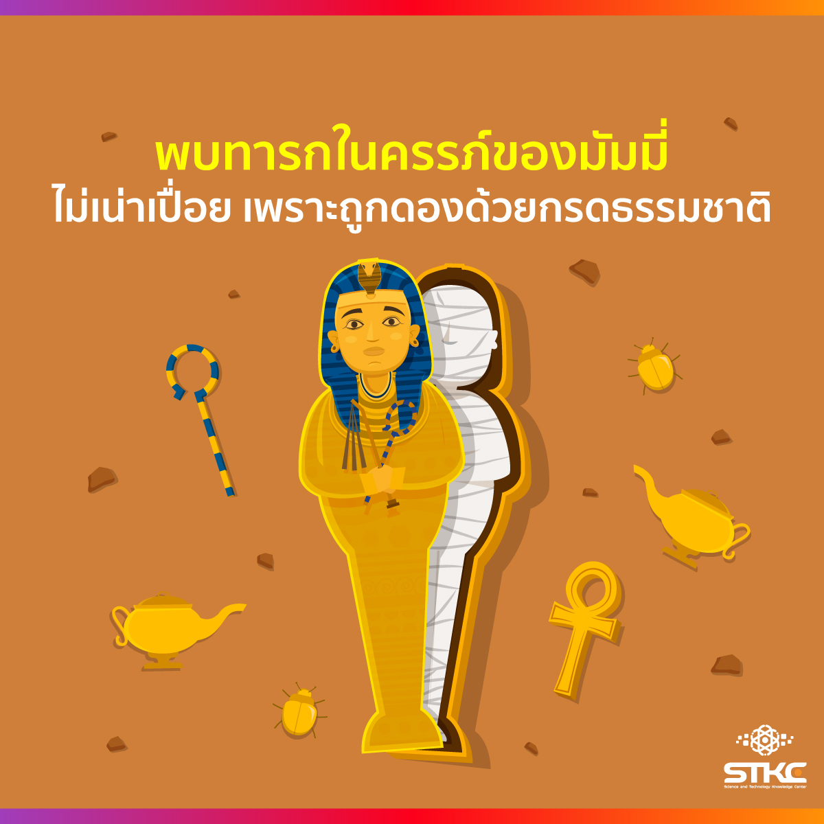 พบทารกในครรภ์ของมัมมี่ ไม่เน่าเปื่อยเพราะถูกดองด้วยกรดธรรมชาติ