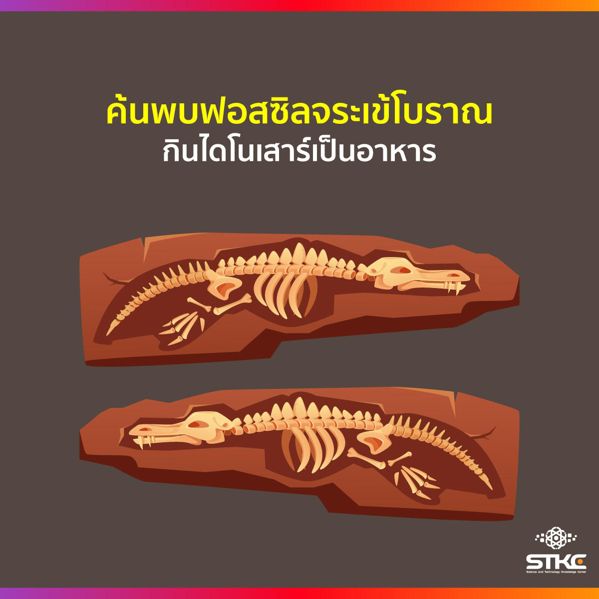ค้นพบฟอสซิลจระเข้โบราณ กินไดโนเสาร์เป็นอาหาร