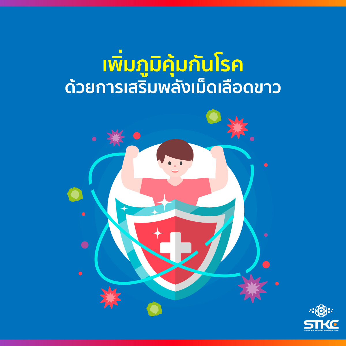 เพิ่มภูมิคุ้มกันโรคด้วยการเสริมพลังเม็ดเลือดขาว
