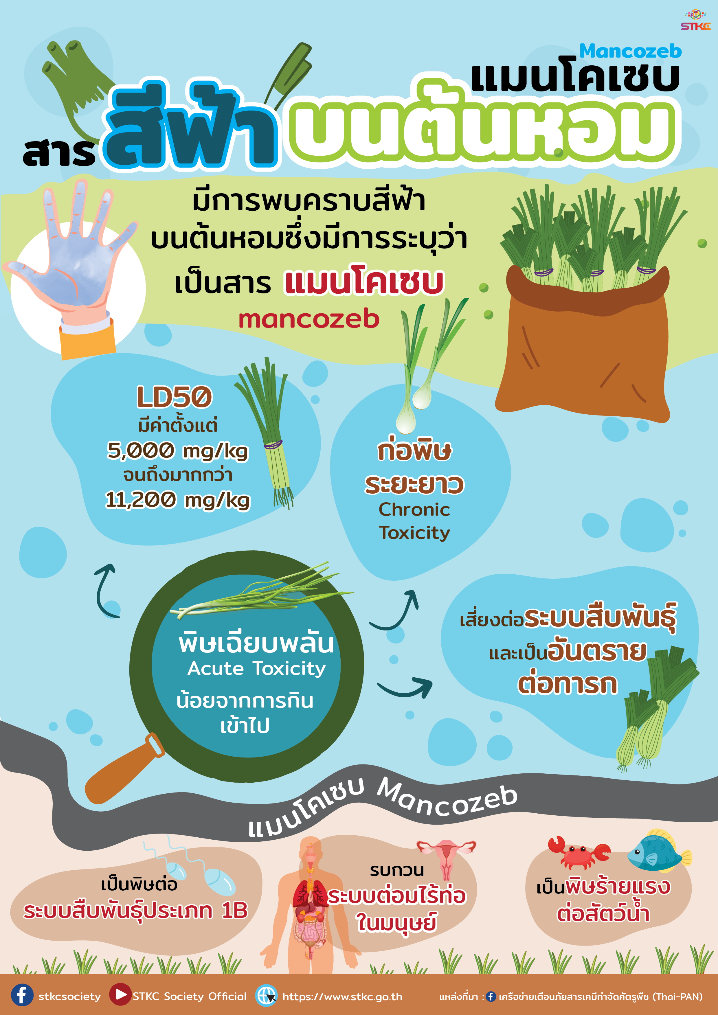 แมนโคเซบ Mancozeb สารสีฟ้าบนต้นหอม